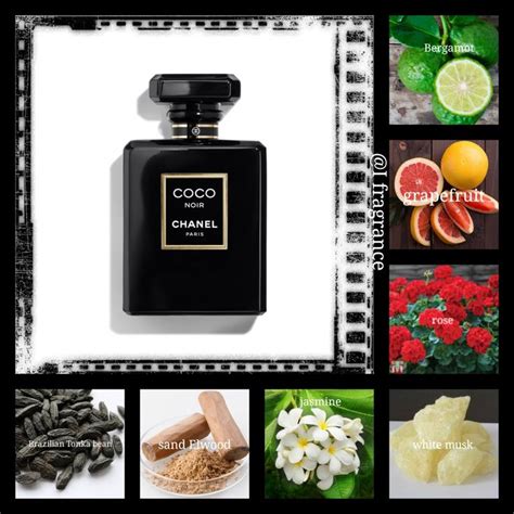 coco chanel noir notes|Chanel coco noir fragrantica.